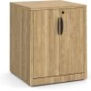 Mobile Locking Double Door Cabinet - Aspen 1 Mobile Locking Double Door Cabinet - Aspen -Office Furniture Store 0319d2490b2c3851d5157025bcca