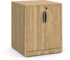 Mobile Locking Double Door Cabinet - Aspen