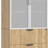 Locking Storage Cabinet And Lateral File Combo Unit With Glass Doors - Aspen