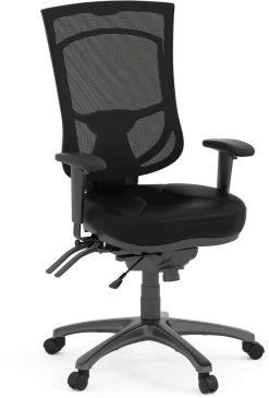 CoolMesh Pro Executive High Back Chair - Black Leather With Titanium Base