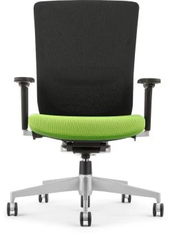 Dionne Mesh Mid Back Chair - Green